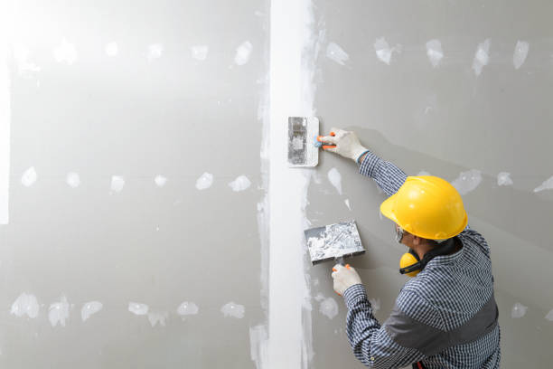 Best Fire-Damaged Drywall Repair  in Adamstown, MD